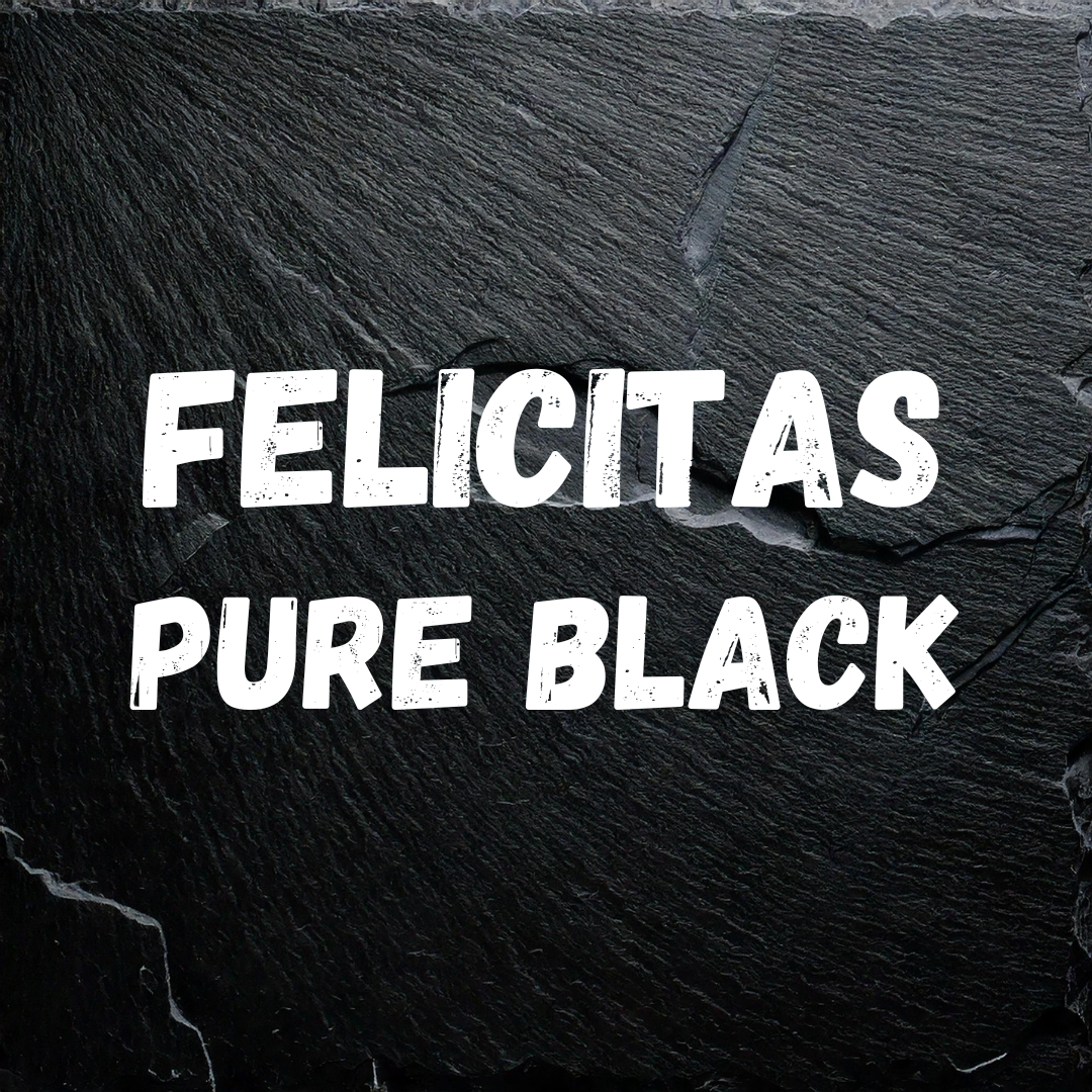 FELICITAS T-Shirt - pure black