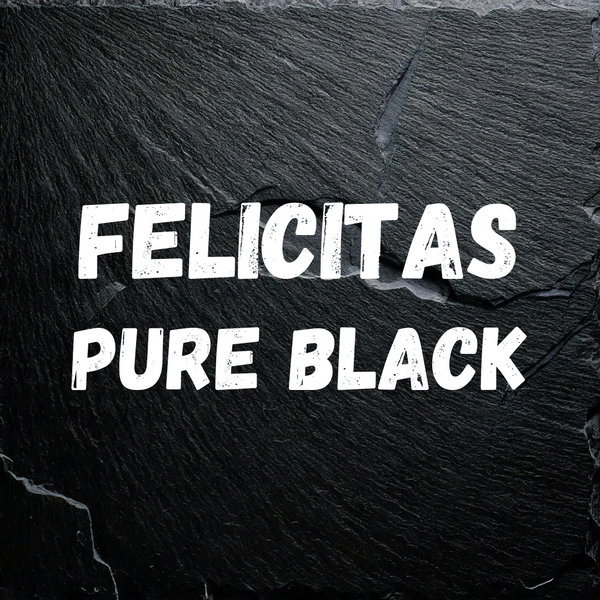 FELICITAS T-Shirt - pure black